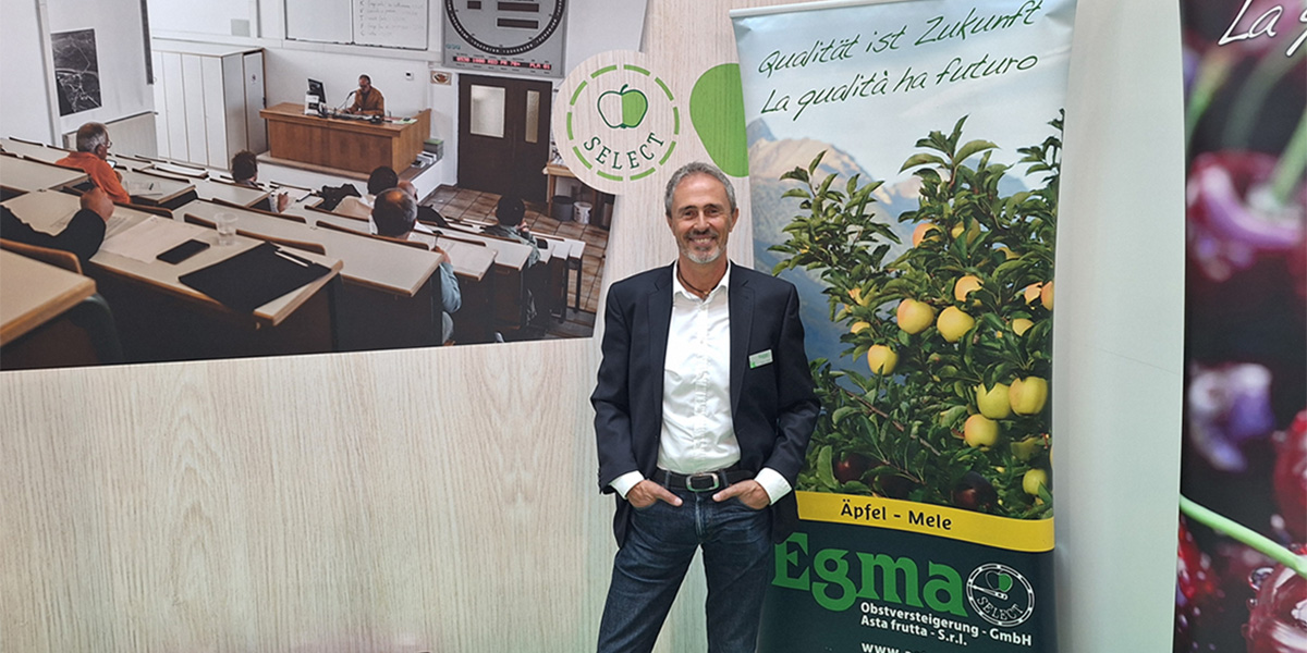 Alto Adige: fragole rallentate dal clima, ciliegie al massimo della produzione
